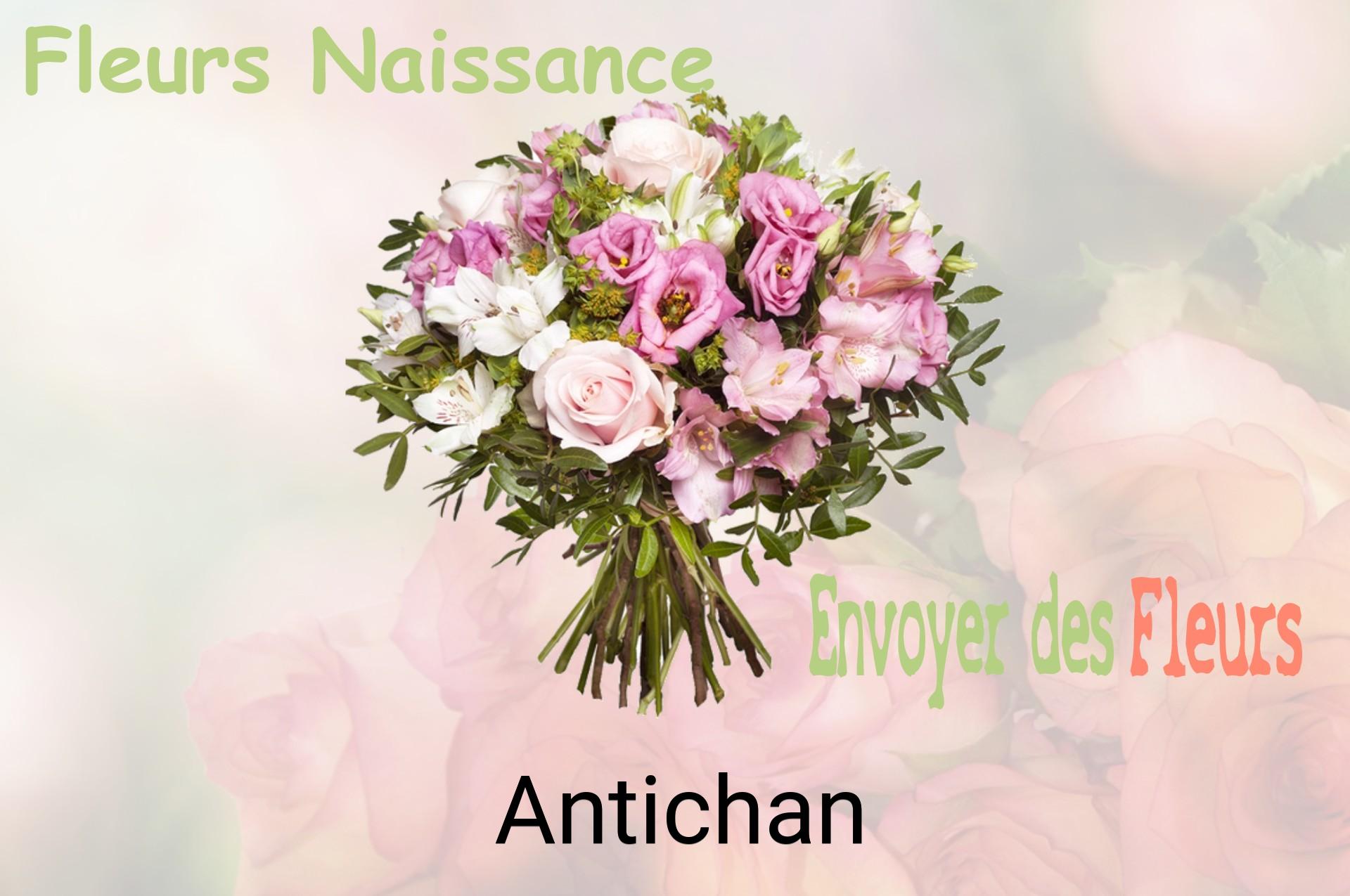 Bouquet de fleurs de naissance livré à Antichan